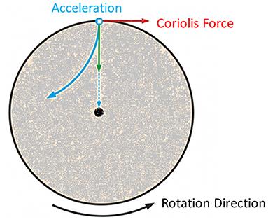 Therapeutic Benefits of Short-Arm Human Centrifugation in Multiple Sclerosis–A New Approach